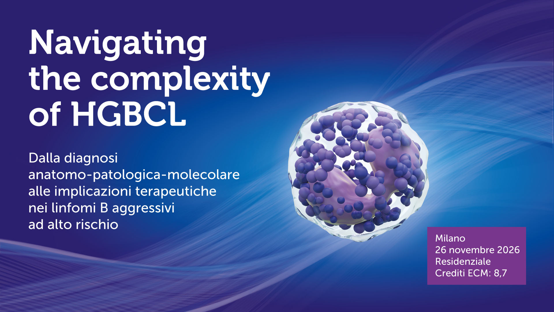 NAVIGATING THE COMPLEXITY OF HGBCL